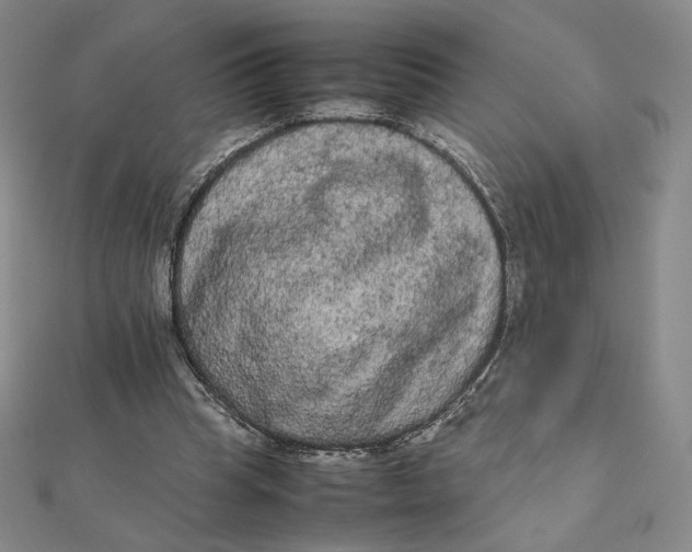 X0000112070345200908251048