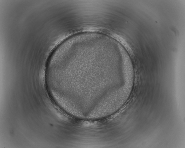 X0000112070346200908251048