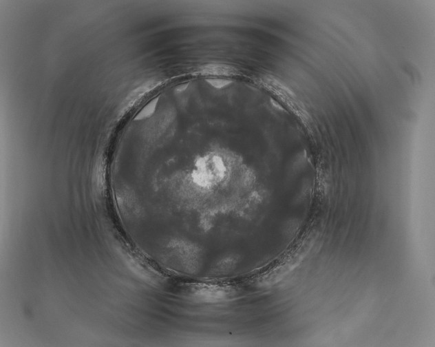 X0000112070347200908251048