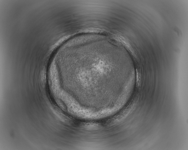 X0000112070348200908251048