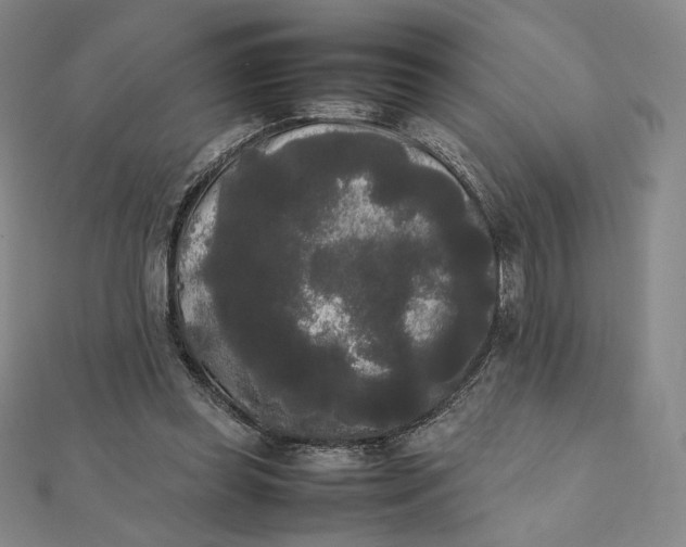 X0000112070349200908251048
