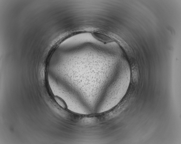 X0000112070350200908251048