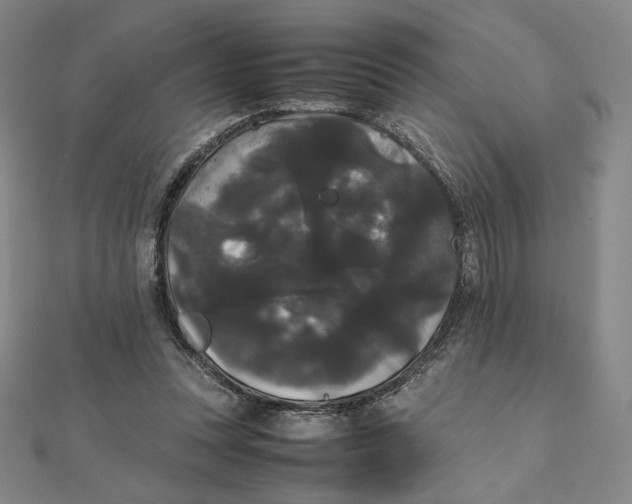X0000112070351200908251048