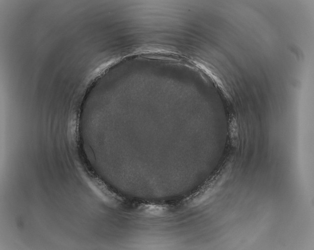 X0000112070352200908251048