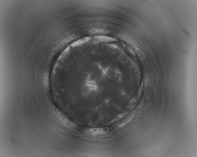 X0000112070353200908251048