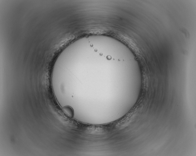 X0000112070354200908251048