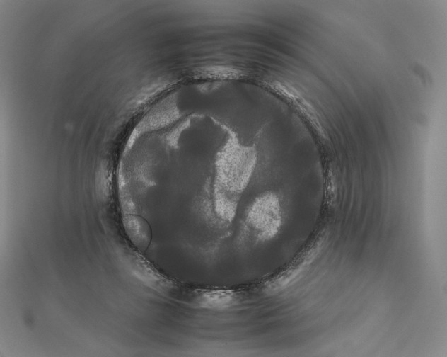 X0000112070355200908251048