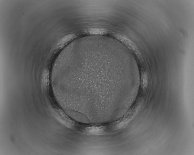 X0000112070356200908251048