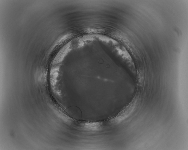 X0000112070357200908251048