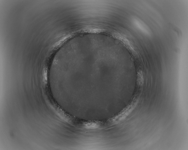 X0000112070358200908251048