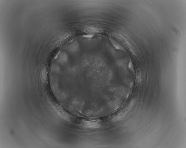 X0000112070359200908251048