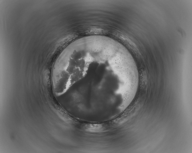 X0000112070361200908251048