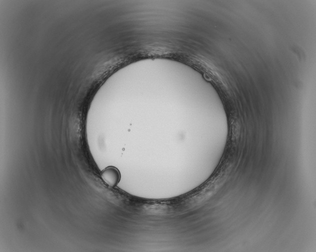 X0000112070362200908251048