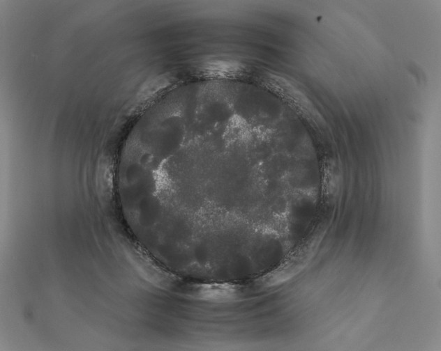 X0000112070363200908251048