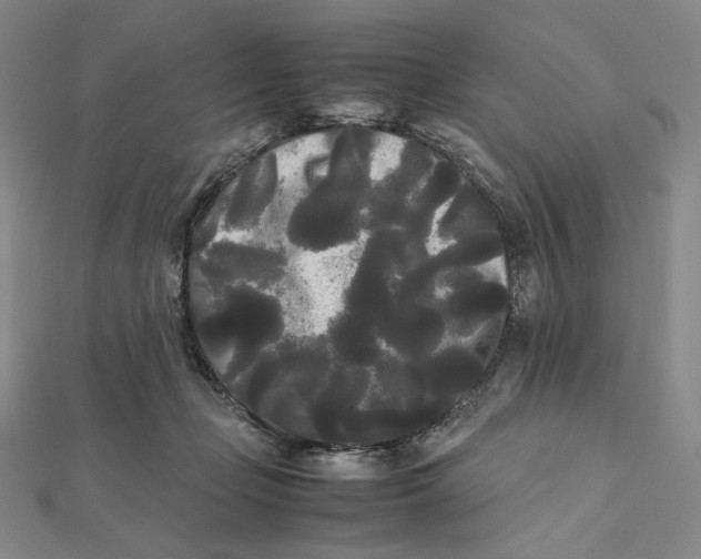 X0000112070365200908251048