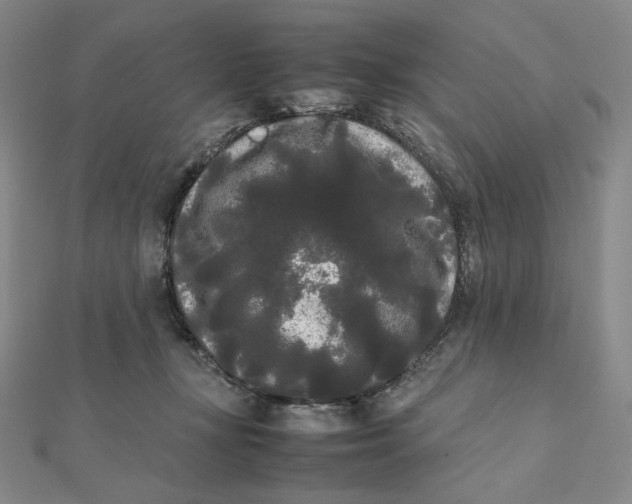 X0000112070367200908251048