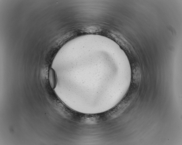 X0000112070368200908251048