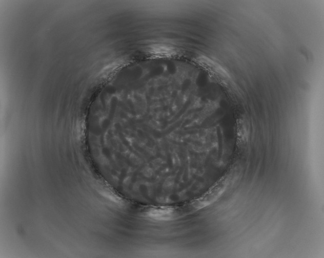 X0000112070369200908251048