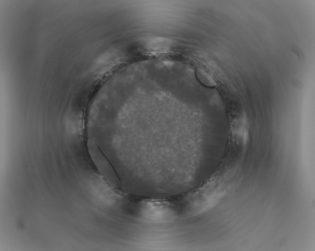 X0000112070372200908251048