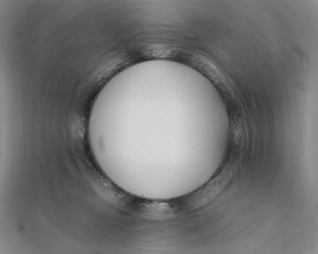 X0000112070374200908251048