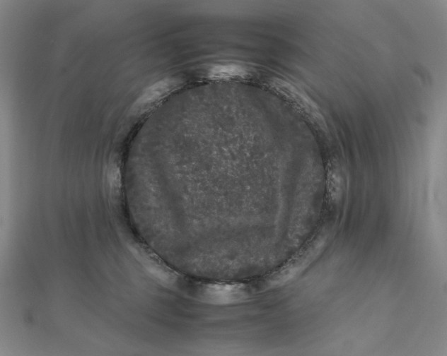 X0000112070375200908251048