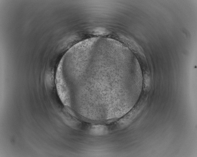 X0000112070376200908251048