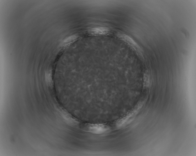 X0000112070377200908251048