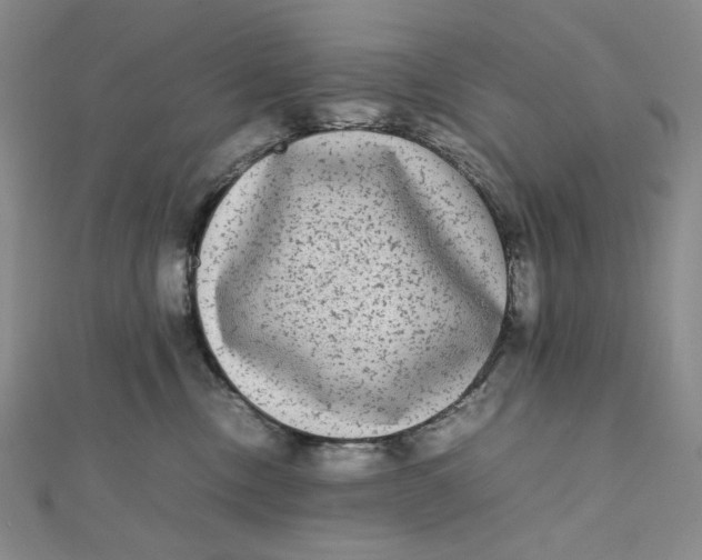 X0000112070378200908251048