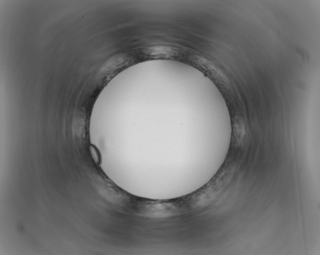 X0000112070379200908251048