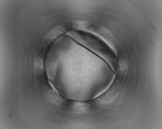 X0000112070380200908251048