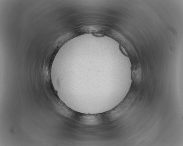 X0000112070381200908251048