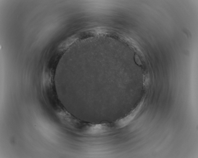 X0000112070382200908251048