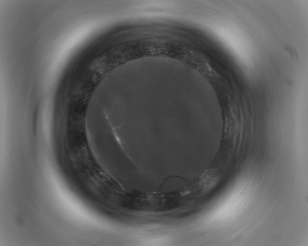 X0000112070383200908251048