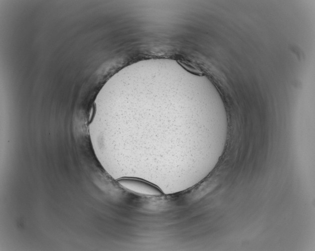 X0000112070384200908251048