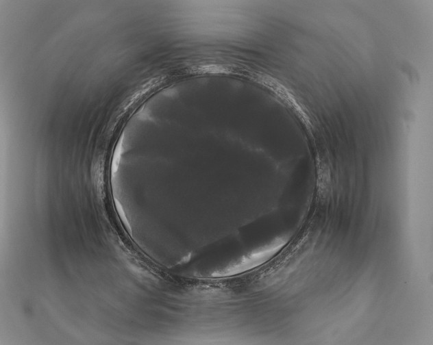 X0000112070386200908251047