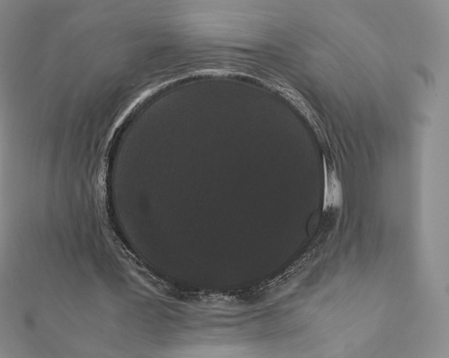 X0000112070387200908251047