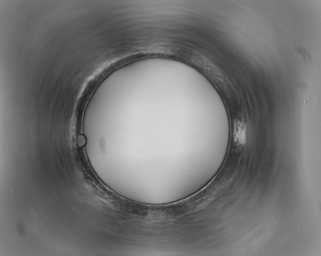 X0000112070388200908251047