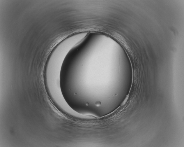 X0000112070389200908251047
