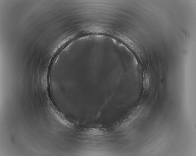 X0000112070390200908251047