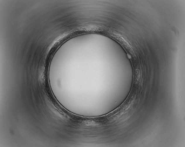 X0000112070392200908251047