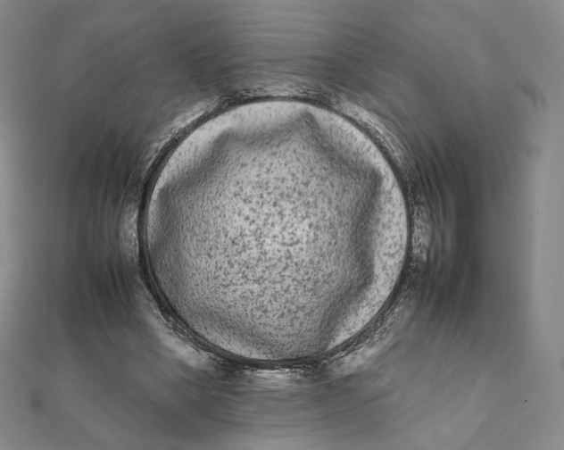 X0000112070394200908251047