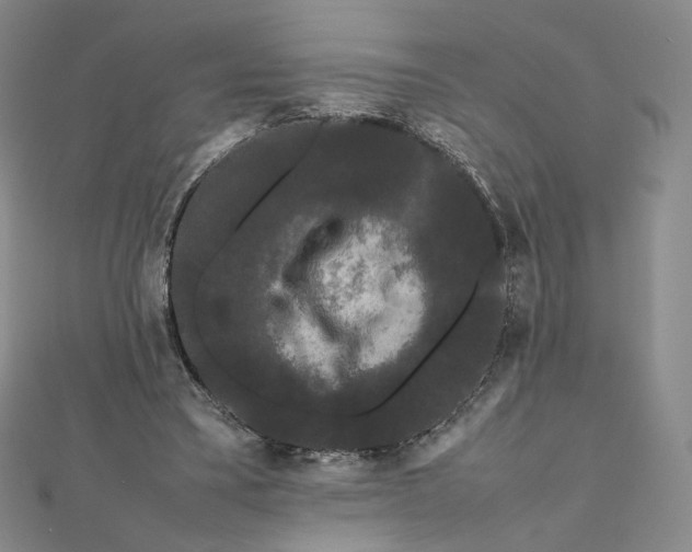 X0000112070395200908251047