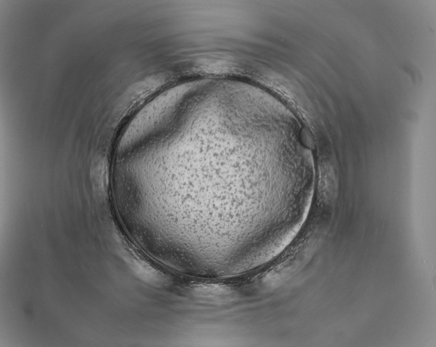 X0000112070397200908251047
