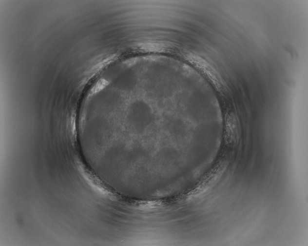 X0000112070398200908251047