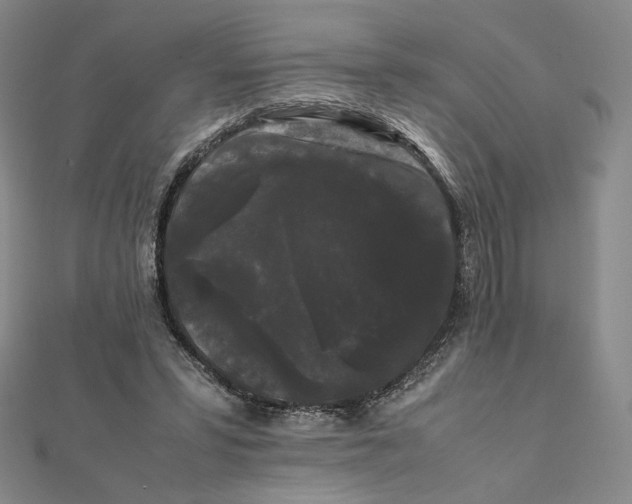 X0000112070399200908251047