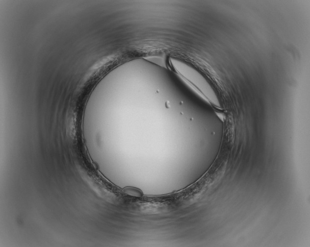 X0000112070400200908251047