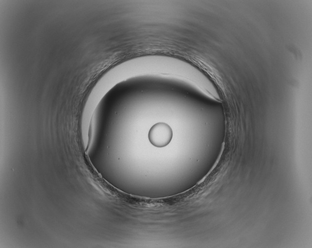 X0000112070401200908251047