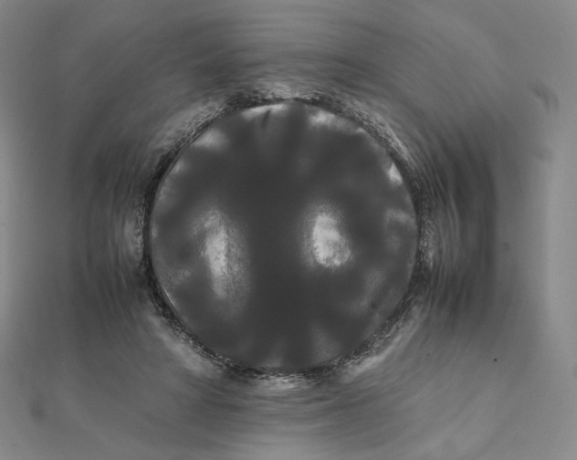 X0000112070402200908251047