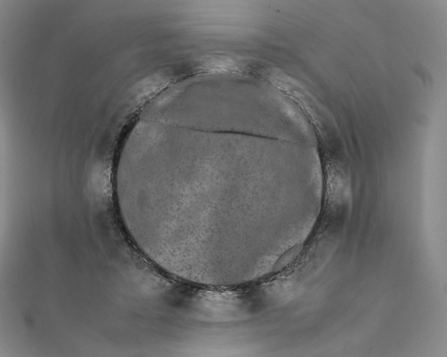 X0000112070403200908251047