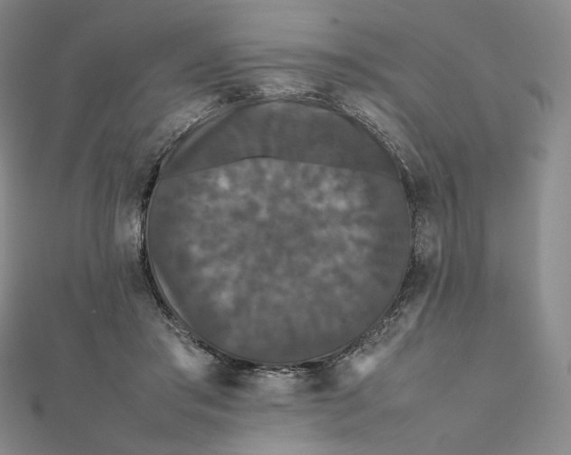 X0000112070405200908251047